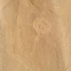 A tan rock wall displays a circular petroglyph.