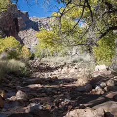 A dry creek bed runs through a canyon with trees displaying yellow and green foliage.