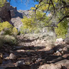 A dry creek bed runs through a canyon with trees displaying yellow and green foliage.