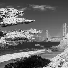 A suspension bridge spans water with a beach in the foreground and trees on either side.