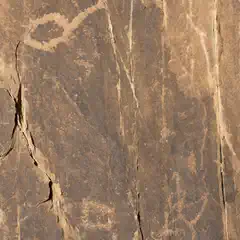 A sandstone wall displays petroglyphs of abstract and animal figures.