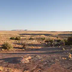 A desert landscape contains sparse vegetation and a distant mesa under a blue sky.