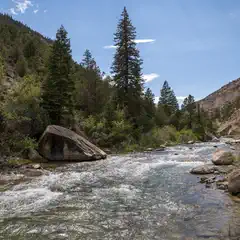A swift river flows through a canyon filled with pine trees and large rocks.