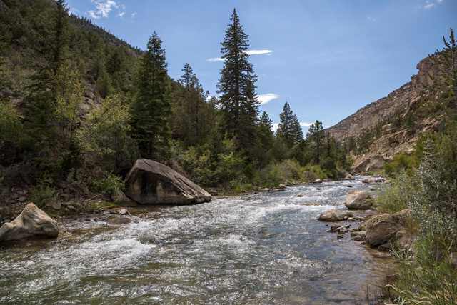 A swift river flows through a canyon filled with pine trees and large rocks.
