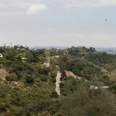 A paved road goes down a tree-covered hillside. Houses are on the slopes, and a city is in the distance.