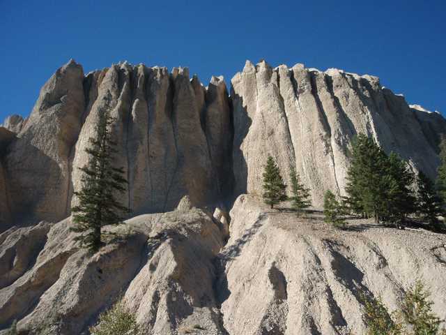 A formation of tan rock spires rises from a hillside with scattered evergreen trees under a clear blue sky.