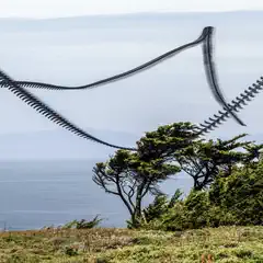 Multiple-exposure composite of crows gliding over a coastal landscape with wind-swept trees.