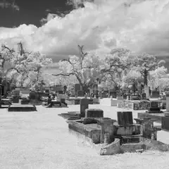 A cemetery contains numerous headstones and several trees under a cloudy sky.