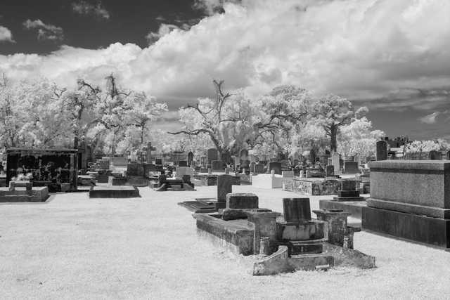 A cemetery contains numerous headstones and several trees under a cloudy sky.