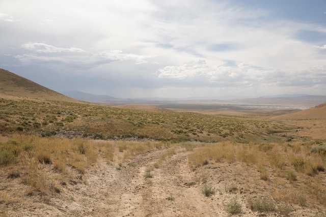 A dirt path extends through golden, dry grasses toward distant, flat terrain under a cloudy sky.