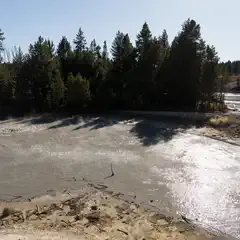 A large, shallow pool of water with visible ripples and steam rising from it. Tall trees surround the pool.
