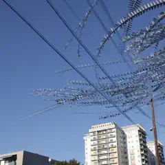 Composite image with a large flock of birds in a clear blue sky above a building and utility poles.
