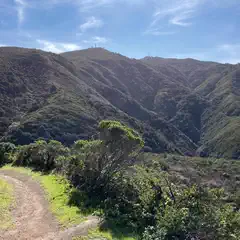 A dirt path leads through green shrubs and trees in a hilly landscape with a clear blue sky overhead.