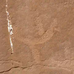Close-up of a sandstone surface with a petroglyph pecked into it. And a streak of fresh bird poop.