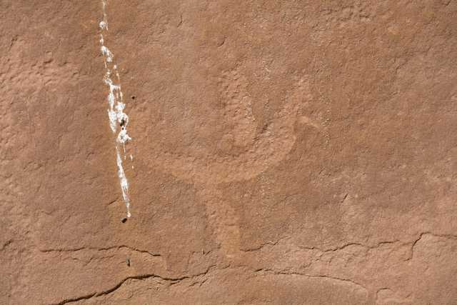 Close-up of a sandstone surface with a petroglyph pecked into it. And a streak of fresh bird poop.