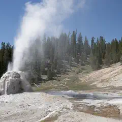 A large geyser erupts in the middle of a rocky landscape surrounded by trees.