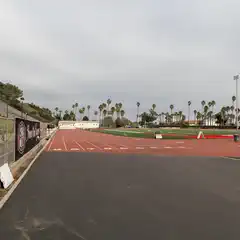 A red running track borders a green football field, with palm trees lining the background and bleachers to the left.