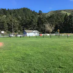 A baseball field with green grass and brown dirt, surrounded by trees under a blue sky.