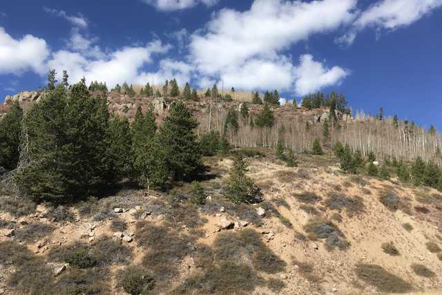 A rocky hillside covered with sparse trees and shrubs under a partly cloudy sky.