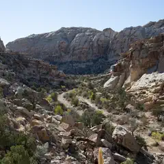 A rocky canyon with a dry wash winding through it, surrounded by sparse vegetation and tall rock formations under a clear blue sky.