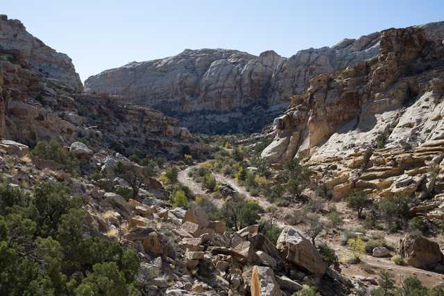A rocky canyon with a dry wash winding through it, surrounded by sparse vegetation and tall rock formations under a clear blue sky.