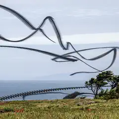 Multiple-exposure composite of crows gliding over a coastal landscape with wind-swept trees.
