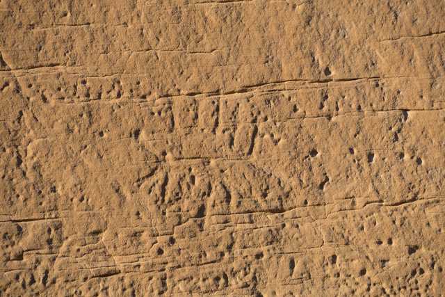 A close-up of sandstone with a rough, weathered texture. The rock's surface features numerous small holes.