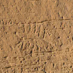 A close-up of sandstone with a rough, weathered texture. The rock's surface features numerous small holes.