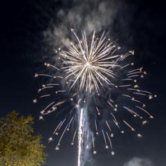 A large fireworks explosion fills the dark sky with white and gold trails.