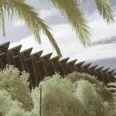 A modern building with a unique, angular roof design is partially obscured by lush green trees and palm fronds under a partly cloudy sky.