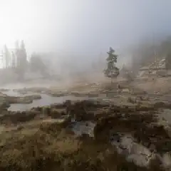 A misty landscape features a lone tree in a geothermal area with steaming pools and a wooden bridge in the distance.