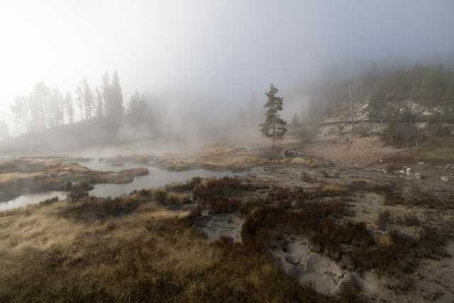 A misty landscape features a lone tree in a geothermal area with steaming pools and a wooden bridge in the distance.