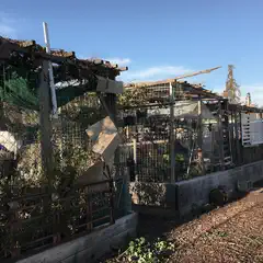 A community garden features raised wooden beds, wire fencing, and trellises, with a backdrop of trees and a clear blue sky.