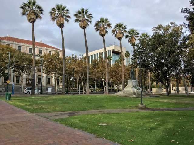 A paved walkway leads to a grassy area with tall palm trees and a statue on a pedestal.