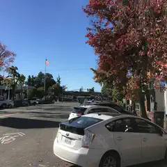 A street scene shows parked cars lining both sides of a road, with trees displaying autumn foliage and an American flag flying in the background.