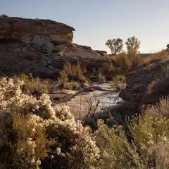 A rocky cliff next to a small stream with flowering shrubs and sparse trees.