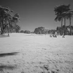 A golf course with a large open field and trees lining the horizon under a clear sky.