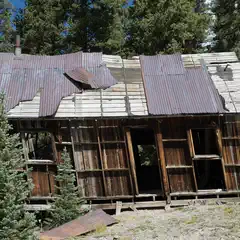 A dilapidated wooden structure with a rusted corrugated roof stands in a forested area.