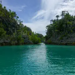 A narrow body of turquoise water flanked by rocky cliffs covered in dense green foliage.