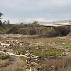 A concrete bridge spans a shallow waterway lined with driftwood and vegetation.