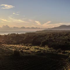 Sunset over calm water with distant hills, hazy clouds, and silhouetted trees; serene landscape features warm hues under fading light.