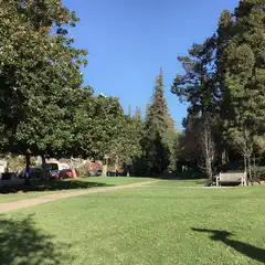 A paved path runs through a grassy area with several trees and a bench.