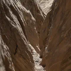 A narrow canyon is lined by large, tan-colored rock formations.