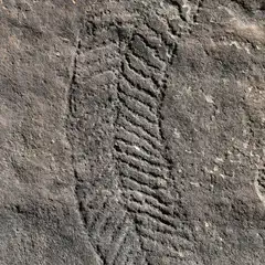 A large grey rock with an intricate pattern, representing a curving snake, carved into its surface.