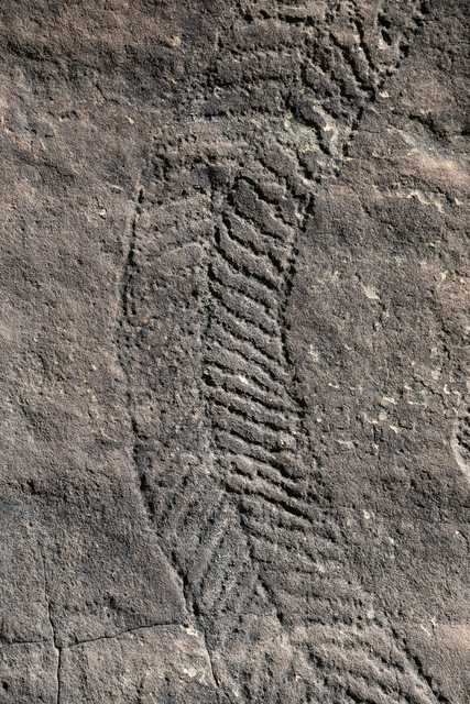 A large grey rock with an intricate pattern, representing a curving snake, carved into its surface.