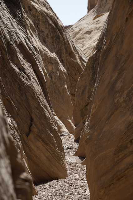 A narrow canyon is lined by large, tan-colored rock formations.
