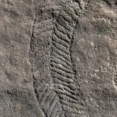 A large grey rock with an intricate pattern, representing a curving snake, carved into its surface.