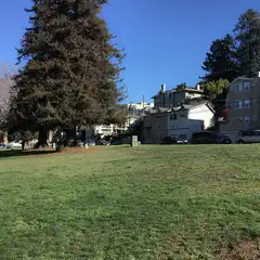 A grassy hillside under a clear blue sky, with a large tree and houses in the background.