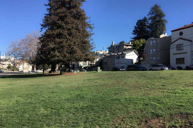 A grassy hillside under a clear blue sky, with a large tree and houses in the background.