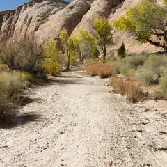 A dirt path leads between rocky cliffs with sparse vegetation and yellow-leaved trees.